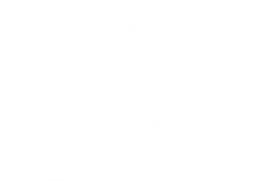 École du Mouvement Pro - Transmettre. Ressentir. Accompagner - Somato-psychopédagogie - formation Somato-Psychopédagogie®