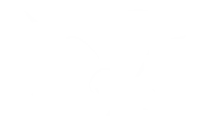 École du Mouvement Pro - Transmettre. Ressentir. Accompagner - Somato-psychopédagogie - Spécialisation Méditation et Estime de soi